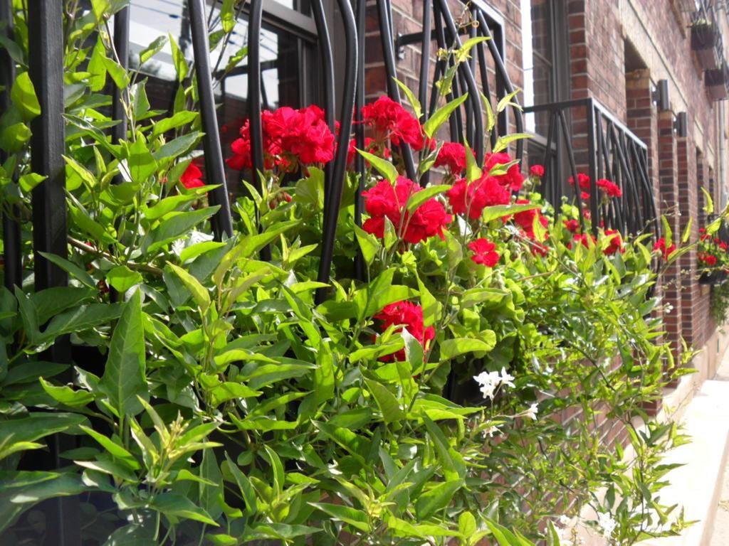 Bed and Breakfast Studio Living Montréal Exterior foto