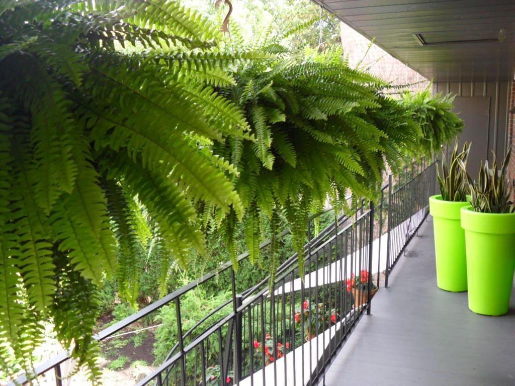 Bed and Breakfast Studio Living Montréal Exterior foto